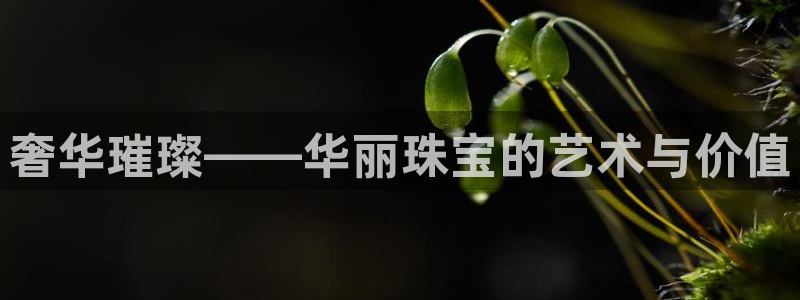 新宝5X：奢华璀璨——华丽珠宝的艺术与价值