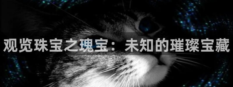新宝5彩票娱乐平台：观览珠宝之瑰宝：未知的璀璨宝藏