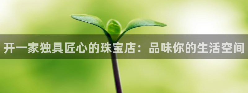 新宝注5册：开一家独具匠心的珠宝店：品味你的生活空间