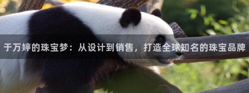 新宝5主管：于万婷的珠宝梦：从设计到销售，打造全球知名的珠宝品牌