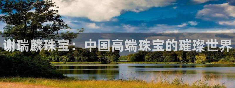 新宝5彩票娱乐平台：谢瑞麟珠宝：中国高端珠宝的璀璨世界