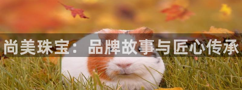 新宝5娱乐同：尚美珠宝：品牌故事与匠心传承