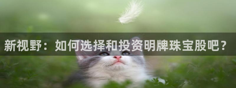 新宝5下载到桌面：新视野：如何选择和投资明牌珠宝股吧？