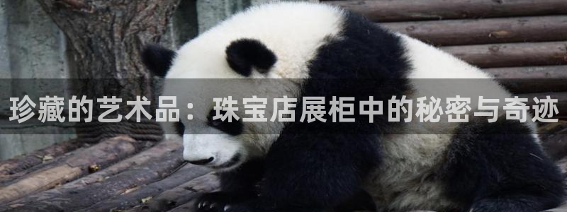 新宝股东王听2 5 5