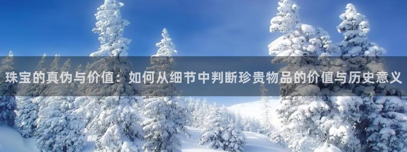 新宝5网站