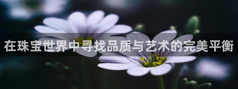 新宝5如何注册：在珠宝世界中寻找品质与艺术的完美平衡