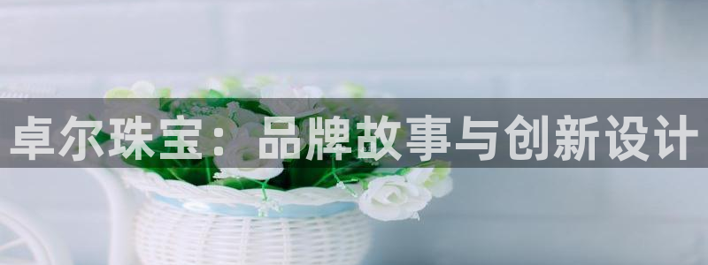 新宝5电脑登录网址：卓尔珠宝：品牌故事与创新设计