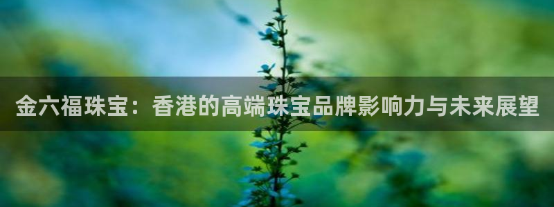 2022新宝骏rs 5：金六福珠宝：香港的高端珠宝品牌影响力与未来展望