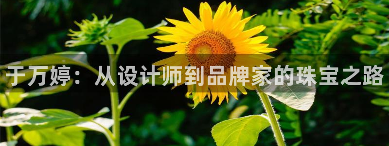 新宝5线路登录：于万婷：从设计师到品牌家的珠宝之路