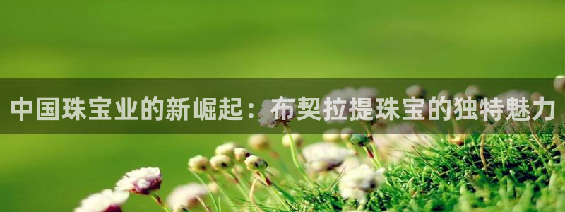 新宝娱乐5入口：中国珠宝业的新崛起：布契拉提珠宝的独特魅力