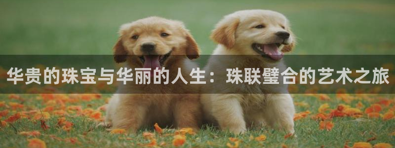 新宝5娱乐都：华贵的珠宝与华丽的人生：珠联璧合的艺术之旅