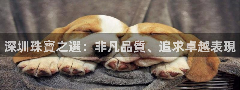 新宝股东王听2 5 5：深圳珠寶之選：非凡品質、追求卓越表現