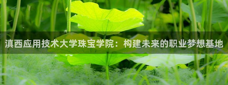 新宝5是谁的