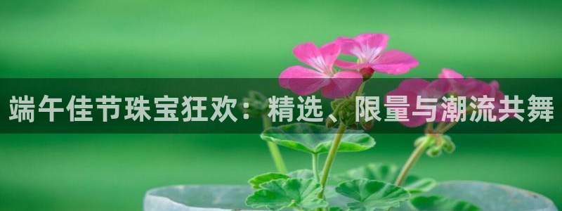 新宝5为啥开：端午佳节珠宝狂欢：精选、限量与潮流共舞
