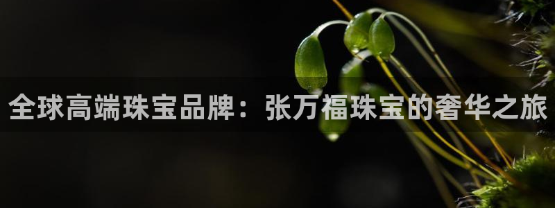 新宝5如何注册：全球高端珠宝品牌：张万福珠宝的奢华之旅