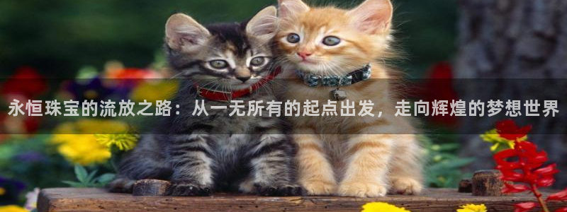 新宝5是什么样子的：永恒珠宝的流放之路：从一无所有的起点出发，走向辉煌的梦想世界