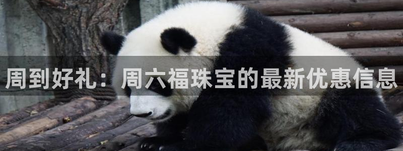新宝5d：周到好礼：周六福珠宝的最新优惠信息