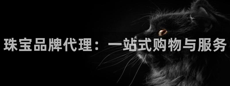 新宝5安卓版：珠宝品牌代理：一站式购物与服务