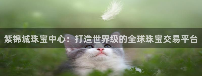 新宝5下载软件：紫锦城珠宝中心：打造世界级的全球珠宝交易平台