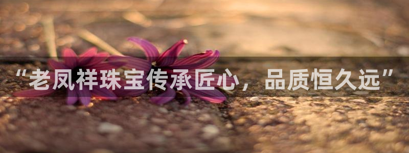 新宝股东瞧听2 5 5：“老凤祥珠宝传承匠心，品质恒久远”