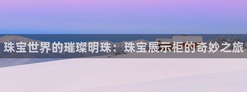 新宝h2O5O5O：珠宝世界的璀璨明珠：珠宝展示柜的奇妙之旅