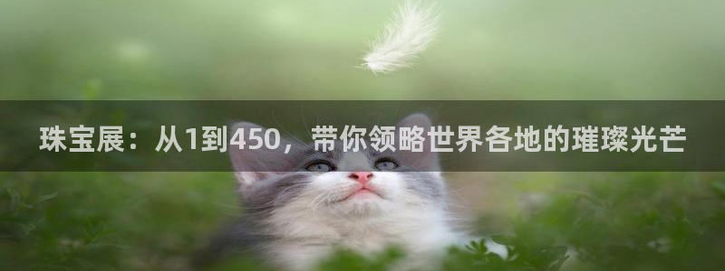 新宝5网站：珠宝展：从1到450，带你领略世界各地的璀璨光芒