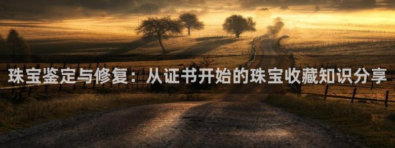 新宝5娱乐如：珠宝鉴定与修复：从证书开始的珠宝收藏知识分享
