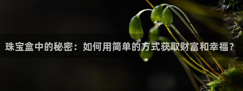 新宝5什么时候上市：珠宝盒中的秘密：如何用简单的方式获取财富和幸福？