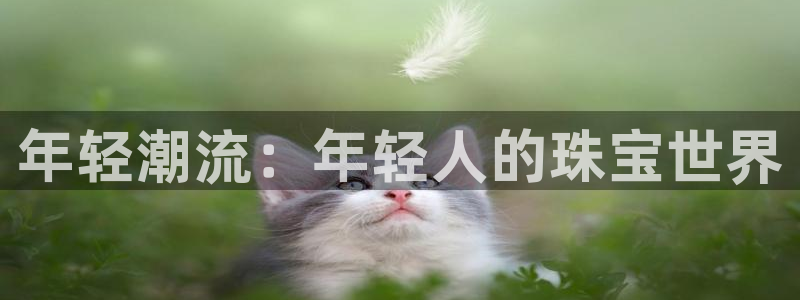 新宝5平台咋样：年轻潮流：年轻人的珠宝世界