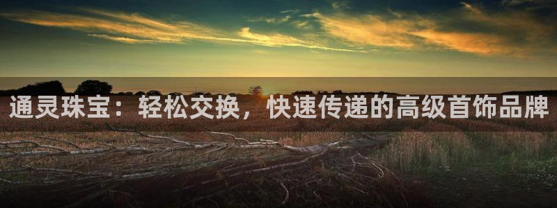 新宝5测：通灵珠宝：轻松交换，快速传递的高级首饰品牌