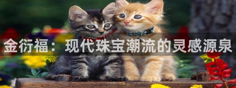 新宝5娱乐经：金衍福：现代珠宝潮流的灵感源泉