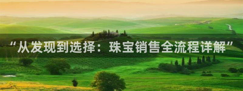 新宝5系列：“从发现到选择：珠宝销售全流程详解”
