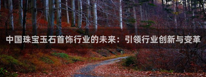 新宝5可靠吗：中国珠宝玉石首饰行业的未来：引领行业创新与变革