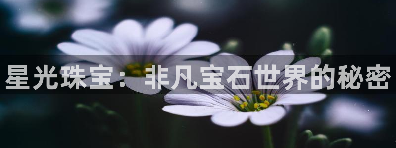 新宝5登录测速中心：星光珠宝：非凡宝石世界的秘密