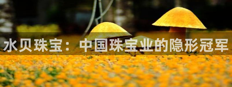 新宝5挂机：水贝珠宝：中国珠宝业的隐形冠军