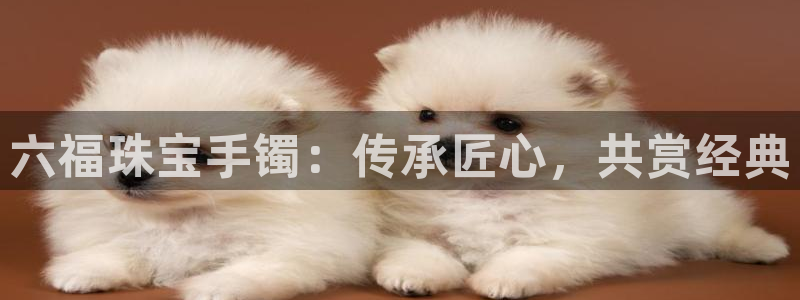 新宝5户端：六福珠宝手镯：传承匠心，共赏经典