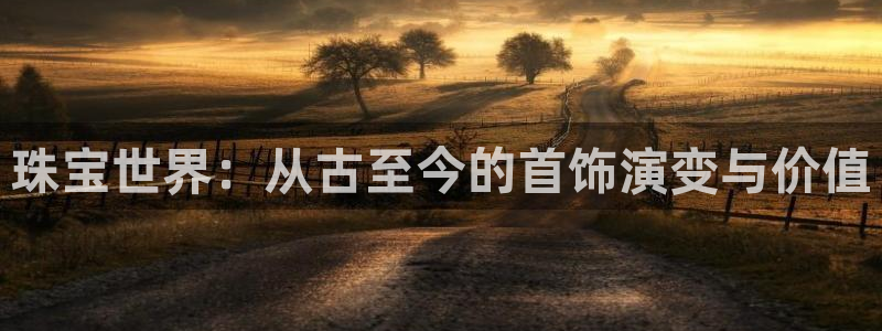 新宝rm5：珠宝世界：从古至今的首饰演变与价值