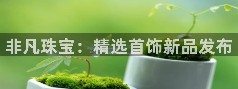 新宝5官网67五壹叁八：非凡珠宝：精选首饰新品发布