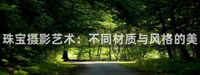 新宝b2O5O5O：珠宝摄影艺术：不同材质与风格的美