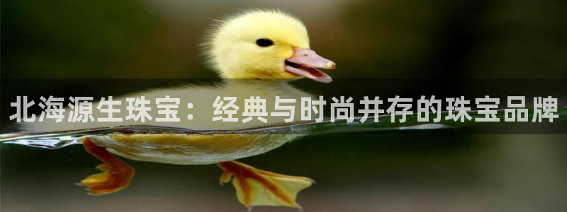 新宝5在哪里：北海源生珠宝：经典与时尚并存的珠宝品牌