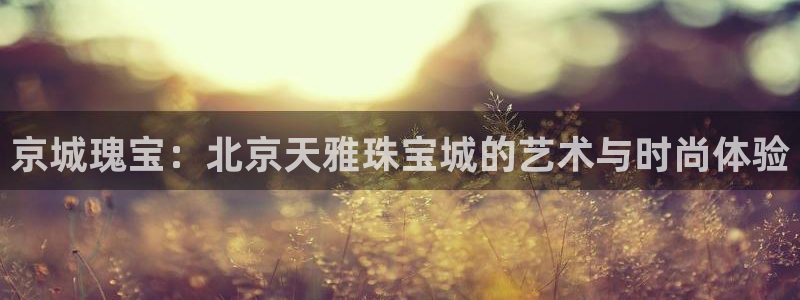 新宝5如何注册登录：京城瑰宝：北京天雅珠宝城的艺术与时尚体验