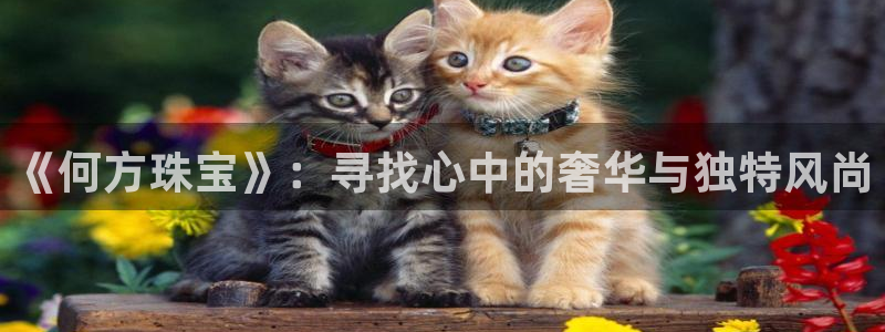 新宝5娱乐招商：《何方珠宝》：寻找心中的奢华与独特风尚