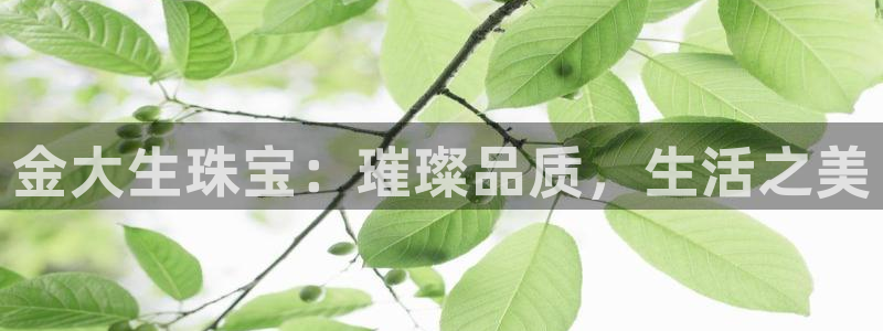 新宝奇迹GG5：金大生珠宝：璀璨品质，生活之美