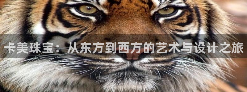 新宝5挂机：卡美珠宝：从东方到西方的艺术与设计之旅