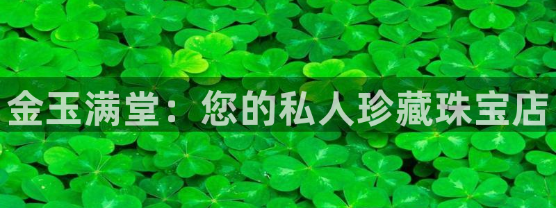 新宝m2O5O5O：金玉满堂：您的私人珍藏珠宝店