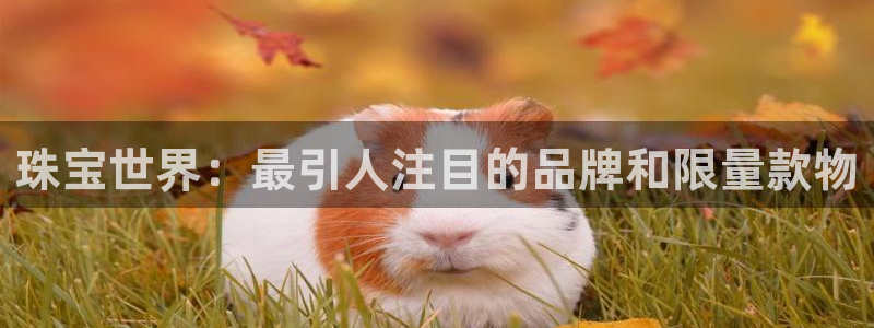 新宝5月：珠宝世界：最引人注目的品牌和限量款物