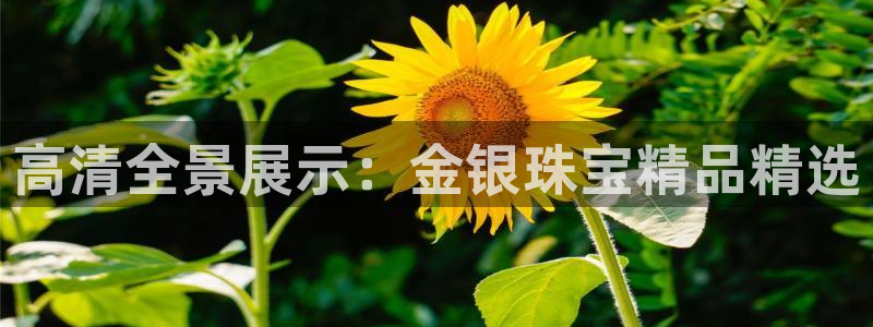 新宝5五：高清全景展示：金银珠宝精品精选