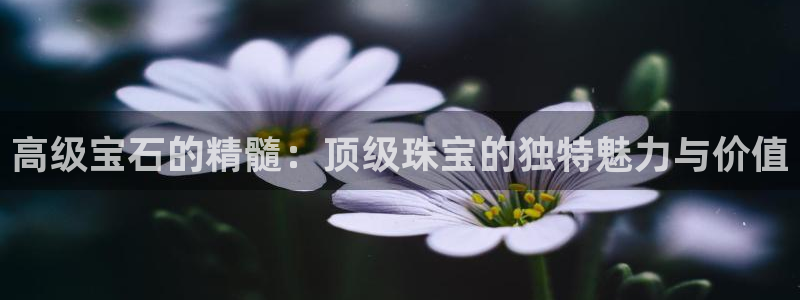 新宝5下载测试：高级宝石的精髓：顶级珠宝的独特魅力与价值