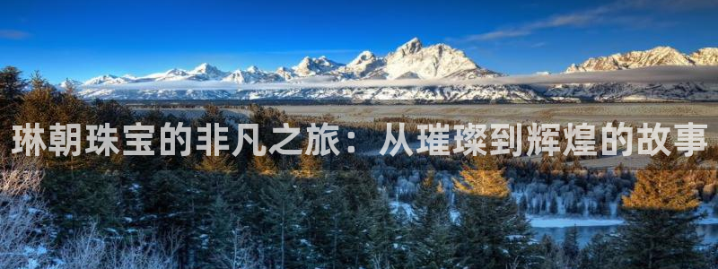 新宝5登录：琳朝珠宝的非凡之旅：从璀璨到辉煌的故事