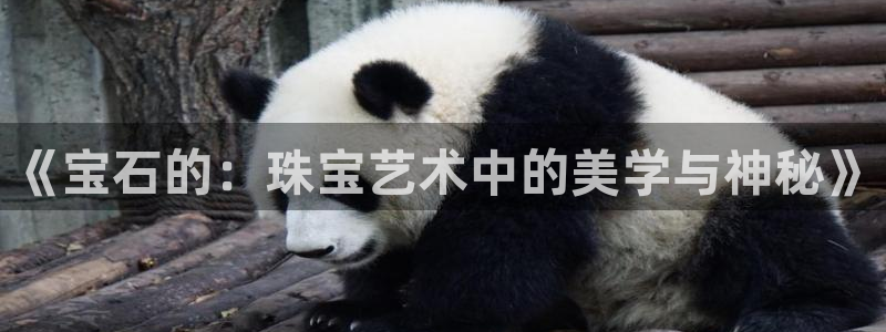 新宝5源码：《宝石的：珠宝艺术中的美学与神秘》